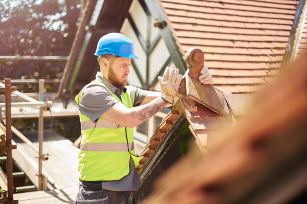 Best Roof Gutter Cleaning  in Fort Drum, NY
